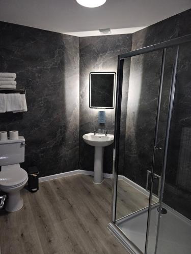 a bathroom with a toilet and a sink and a shower at The Chesterhouse in Douglas
