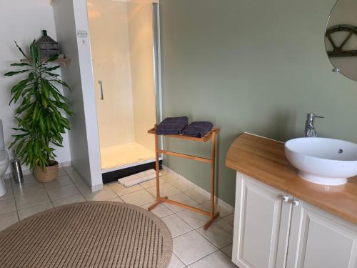 a bathroom with a sink and a shower with a mirror at Grange De Sagne maison et table d hôtes avec dîner sur réservation in Saint-Jean-Roure