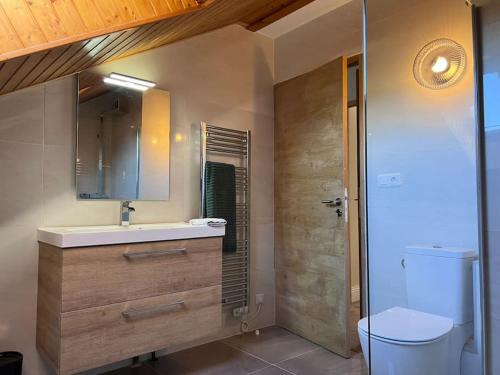 uma casa de banho com um lavatório, um WC e um espelho. em Park Résidence Divonne-les-Bains em Divonne-les-Bains