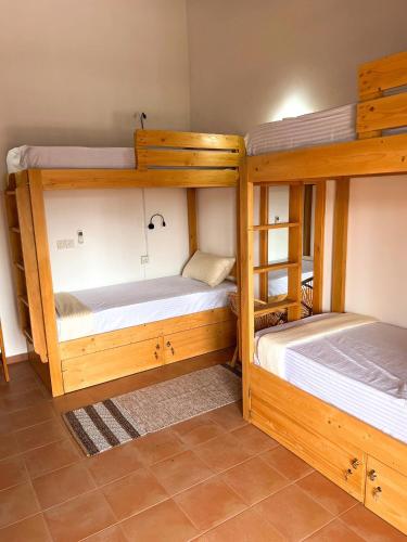 two bunk beds are in a room with at Hummus Hostel Hikkaduwa in Hikkaduwa