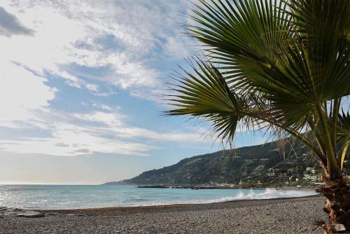 a palm tree sitting on a beach near the ocean at Vayadù Etoile House in Ospedaletti