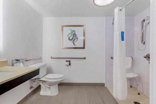 uma casa de banho com um WC, um lavatório e um chuveiro em Comfort Inn Laurel - Fort Meade em Laurel