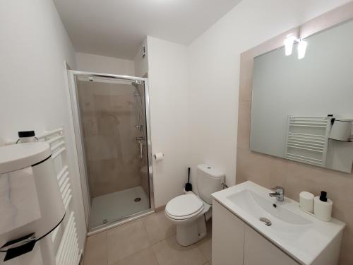 ein Badezimmer mit Dusche, Toilette und Waschbecken in der Unterkunft Superbe appartement vue mer terrasse couverte face à la mer in Linguizzetta