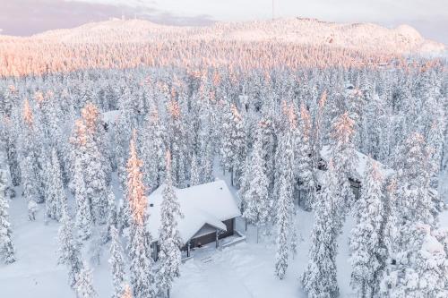 een huis in een besneeuwd bos met besneeuwde bomen bij Rukan Lumikonpesä in Ruka