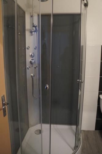 a shower with a glass door in a bathroom at hotel de l'ain in Pont-de-Poitte