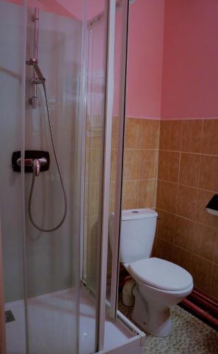 a bathroom with a toilet and a shower at Les Rives de l'Ain in Pont-de-Poitte