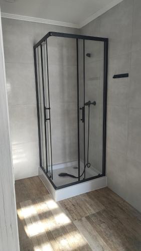 a glass shower in a room with a wall at U Bieńka in Biały Dunajec