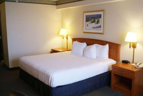 Una cama o camas en una habitación de Country Inn & Suites by Radisson, Lansing, MI