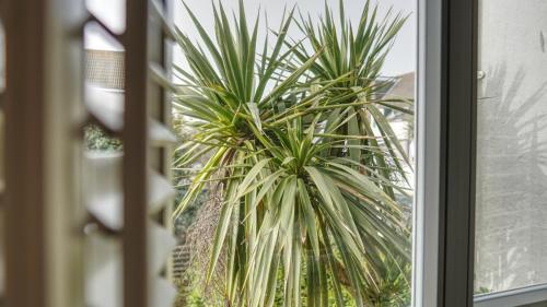 a potted plant sitting outside of a window at Modern Seaside Townhouse feat Sauna near Brighton in Shoreham-by-Sea