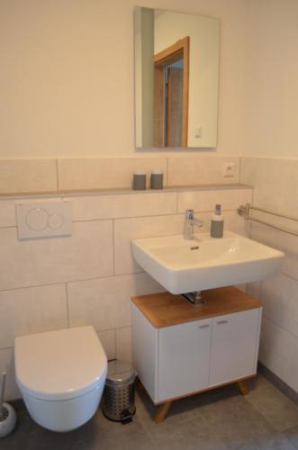 ein Badezimmer mit einem Waschbecken, einem WC und einem Spiegel in der Unterkunft Ferienwohnung Geng in Überlingen