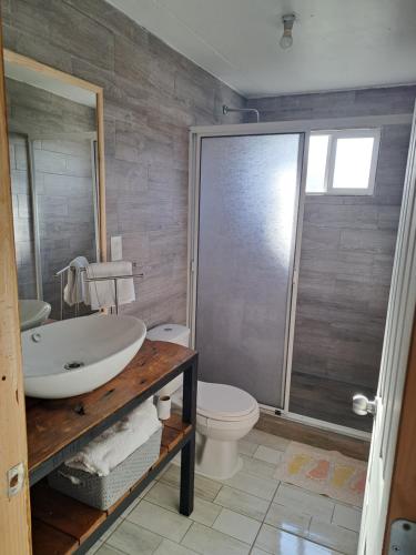 a bathroom with a sink and a toilet and a shower at Cabaña Trafún in Cochrane