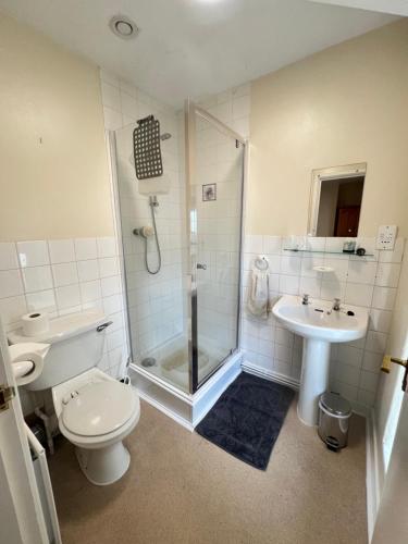 a bathroom with a shower and a toilet and a sink at The Welsh Black Inn in Aberystwyth