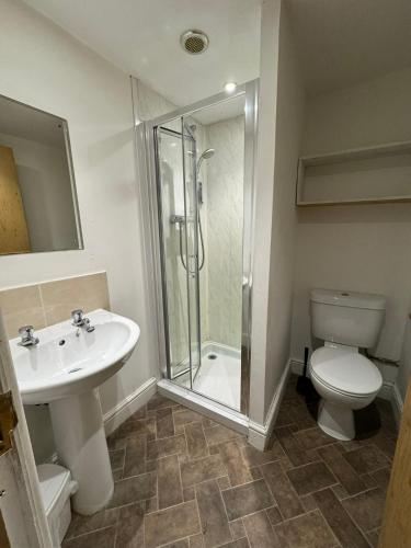 a bathroom with a shower and a toilet and a sink at Saughy rigg farm in Haltwhistle