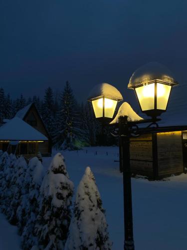 Popovic SPA house Tara II en invierno