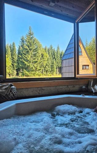 Imagen de la galería de Popovic SPA house Tara II, en Ljuboš