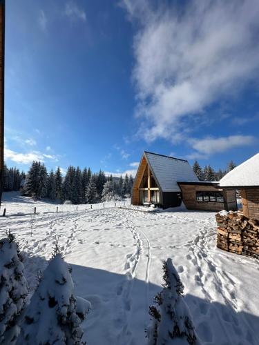 Popovic SPA house Tara II en invierno