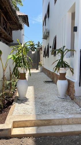 two large white vases with plants in them on a walkway at Aluna Beach Apartments in Nungwi
