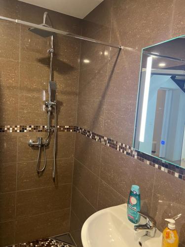 ein Bad mit einer Dusche, einem Waschbecken und einem Spiegel in der Unterkunft Apartment in Stadtzentrum Oelsnitz in Oelsnitz