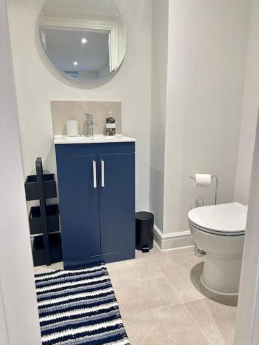 a bathroom with a blue cabinet and a toilet at Spacious and Stylish Flat in Trowbridge, Wiltshire in Trowbridge