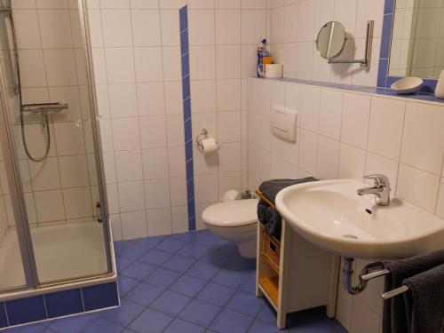 y baño con lavabo, aseo y ducha. en Appartements im Weingut Frieden-Berg, en Nittel