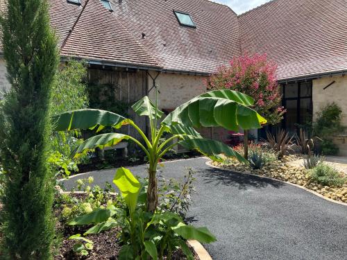 Rivarennes的住宿－Guest House de Céline et Benoît，花园中房子前面的植物