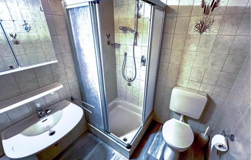 y baño con ducha, lavabo y aseo. en Ferienhaus Trischenblick, en Friedrichskoog