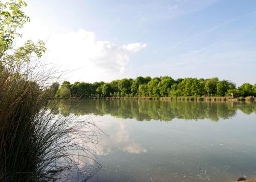 a view of a lake with trees in the background at Bosworth Lakeside Lodges 