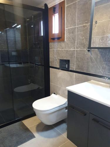a bathroom with a toilet and a shower and a sink at Villa Vanilya in Dalyan