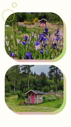 two pictures of a small house in a field of flowers at Charming Swedish Cottage from 1909 in Markaryd