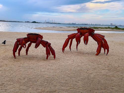 Gallery image of Sea view homestay forest city in Kampong Pok Besar