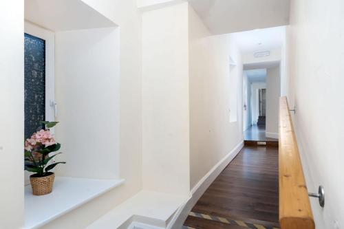 a hallway of a house with a plant on a white wall at Property 444 - Clifden in Clifden