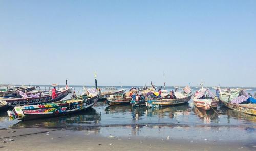 a group of boats sitting in the water at Les Filaos-Villa entre fleuve saloum et ocean in Palmarin