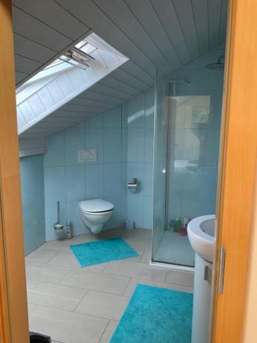 a bathroom with a glass shower and a toilet at Comfortable house with terrace close to Vevey and lake Geneva in Attalens