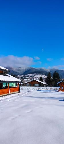 an ice hockey rink covered in snow with buildings at Шале Вілія in Vorokhta
