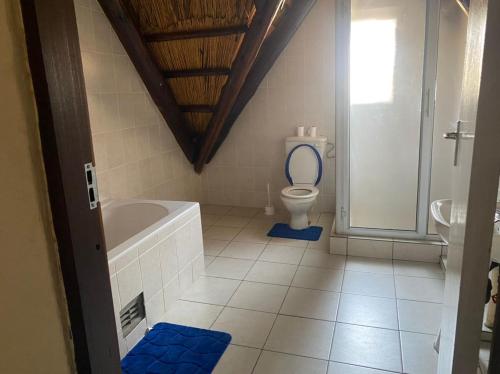 a bathroom with a toilet and a tub and a sink at Lovely house on 4 hectares in John Galt Village - 2011 in Nyanga