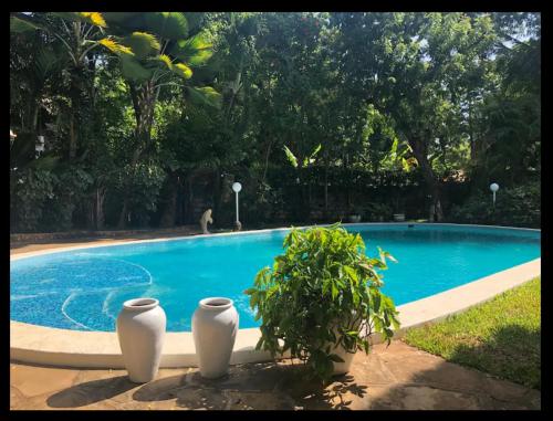 een zwembad met twee witte vazen ervoor bij Ornella House Resort: Spacious 5-Bed Villa in Tropical Malindi in Malindi