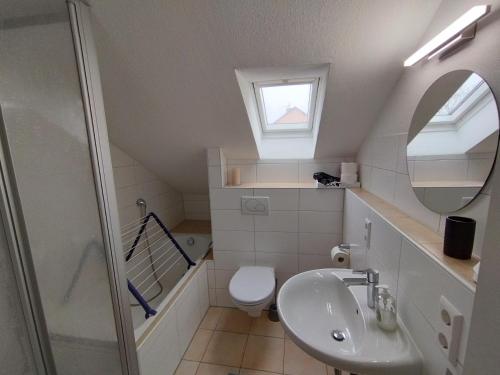 ウールディンゲン・ミュールホーフェンにあるFerienwohnung Down Under am Bodenseeのバスルーム(洗面台、トイレ、鏡付)