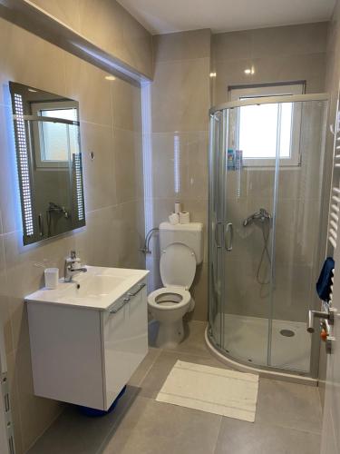 une salle de bains avec douche, toilettes et lavabo dans l'établissement Z&G apartman, à Bijeljina