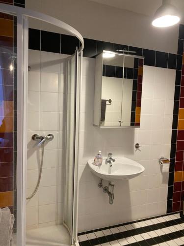 a bathroom with a sink and a shower at Wolfis Appartement in Neusiedl an der Zaya