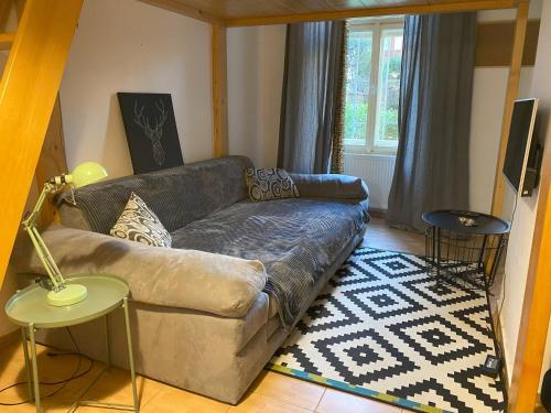 a living room with a leather couch and a rug at Cozy Downtown Garden Apartment: Spacious, Historical & Culinary Delight! in Prague