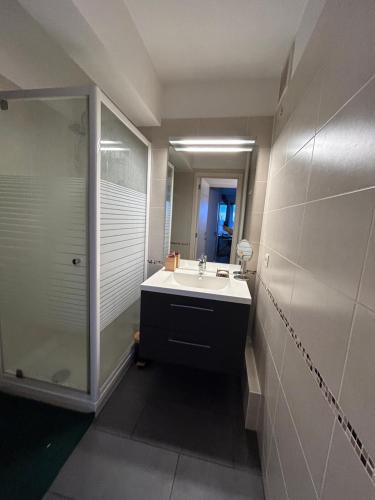 La salle de bains est pourvue d'un lavabo et d'une douche. dans l'établissement Appartement une chambre moderne avec vue imprenable sur le parc et immense terrasse - Idéal pour une escapade urbaine!, à Bruxelles