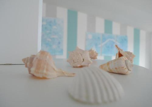 a group of seashells sitting on top of a table at Residence Le Terrazze in Sorrento
