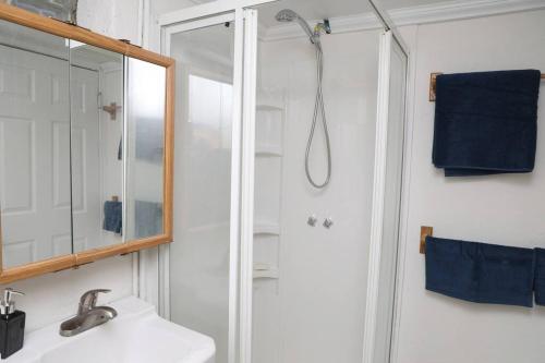 y baño con ducha, lavabo y espejo. en Charming, Central, Cozy Home - Ideal en Dearborn Heights