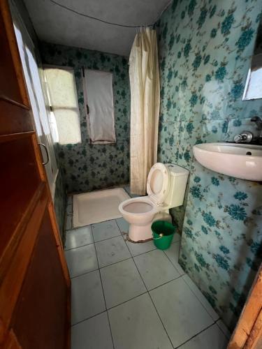 a small bathroom with a toilet and a sink at Mount kailash lodge and resturant , Monjo in Monjo