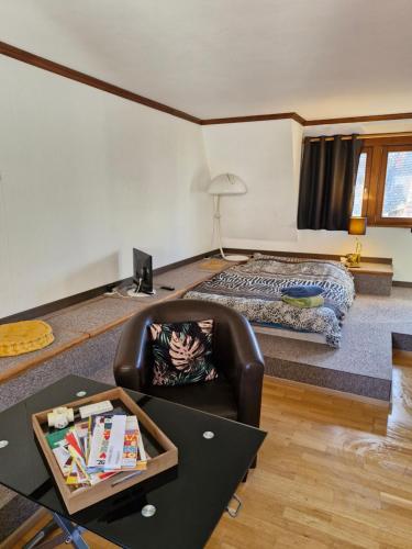 uma sala de estar com uma cama e uma cadeira de couro em Face à la cathédrale em Estrasburgo