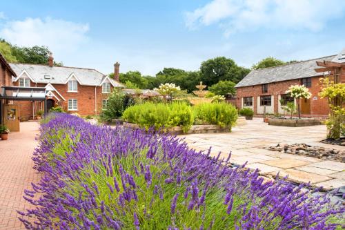 a garden with purple flowers in front of a building at Oak Cottage - Great Houndbeare Farm Holiday Cottages in Aylesbeare
