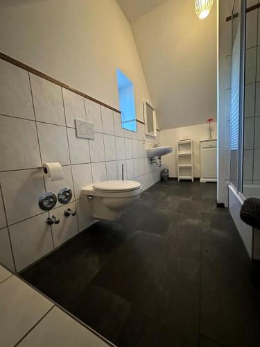 a bathroom with a toilet and a blue window at Ferienwohnung FENJA in Bonerath