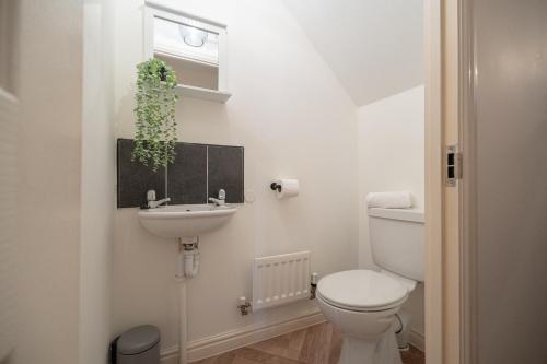 a bathroom with a toilet and a sink and a window at Pottery Wharf By Horizon Stays in Thornaby on Tees