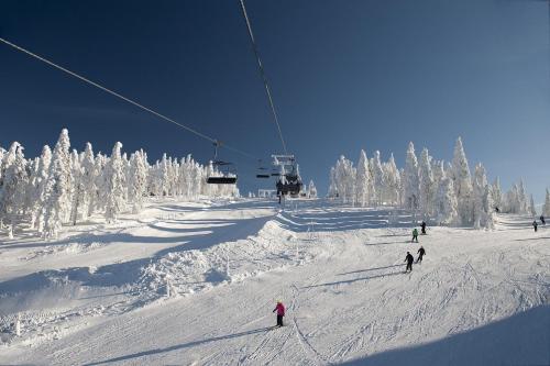 a group of people skiing down a snow covered ski slope at Landhaus Altweck in Wegscheid