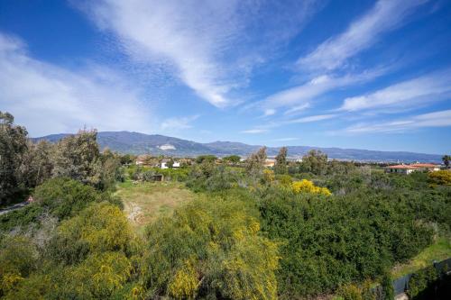 an overhead view of a field with trees and houses at il piccolo appartamento in Lamezia Terme
